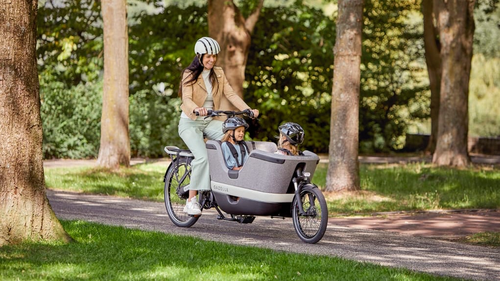 stub(fr): #en#Gazelle Makki Travel : un vélo cargo pour voyager en première classe#en#