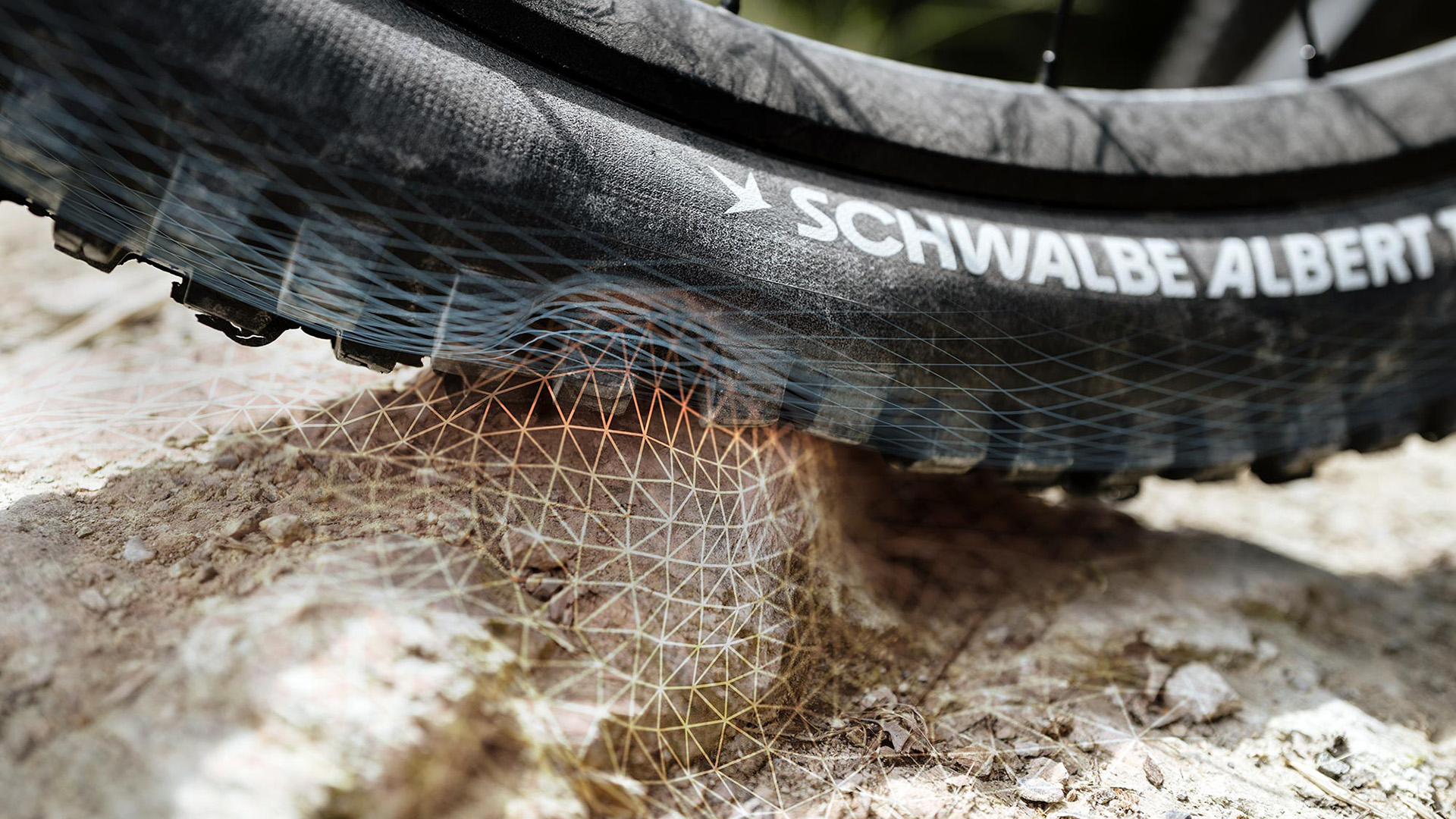 stub(fr): #en#Schwalbe Radial : une petite révolution sur le marché des pneus VTT#en#