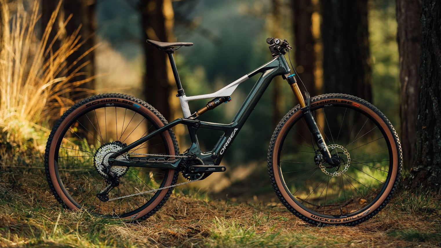 stub(fr): #en#Orbea Rise : nouvelle version pour le pionnier des VTT électriques légers#en#